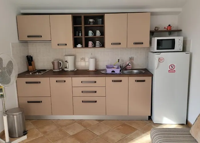 Apartament Exclusive Annex *