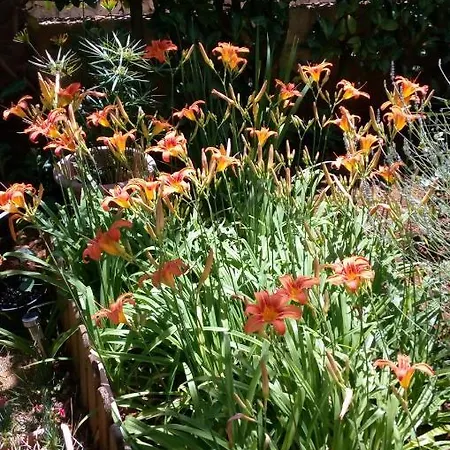 Exclusive Annex * Rovinj